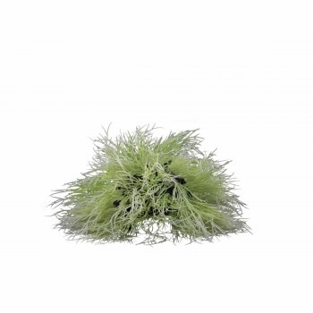 BALL PLANT DIAM.16CM